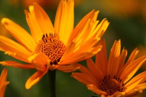 Migliori rimedi per liberarsi dai cattivi odori d’estate