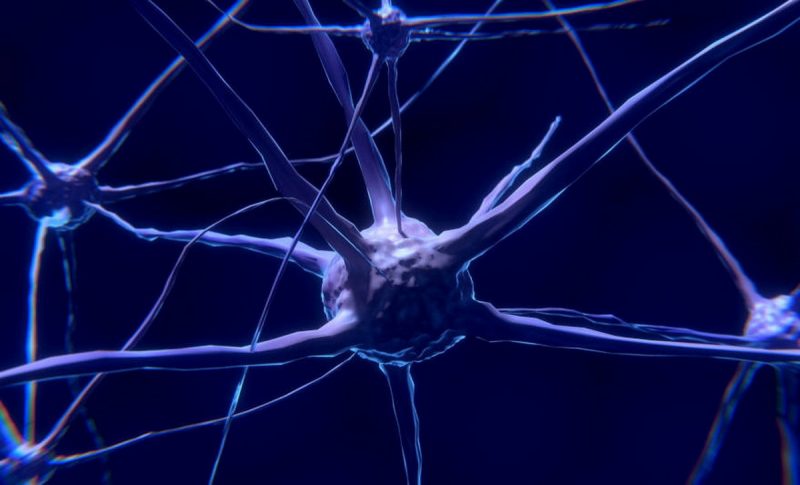 Neuropatia periferica da chemioterapia: le migliori cure naturali