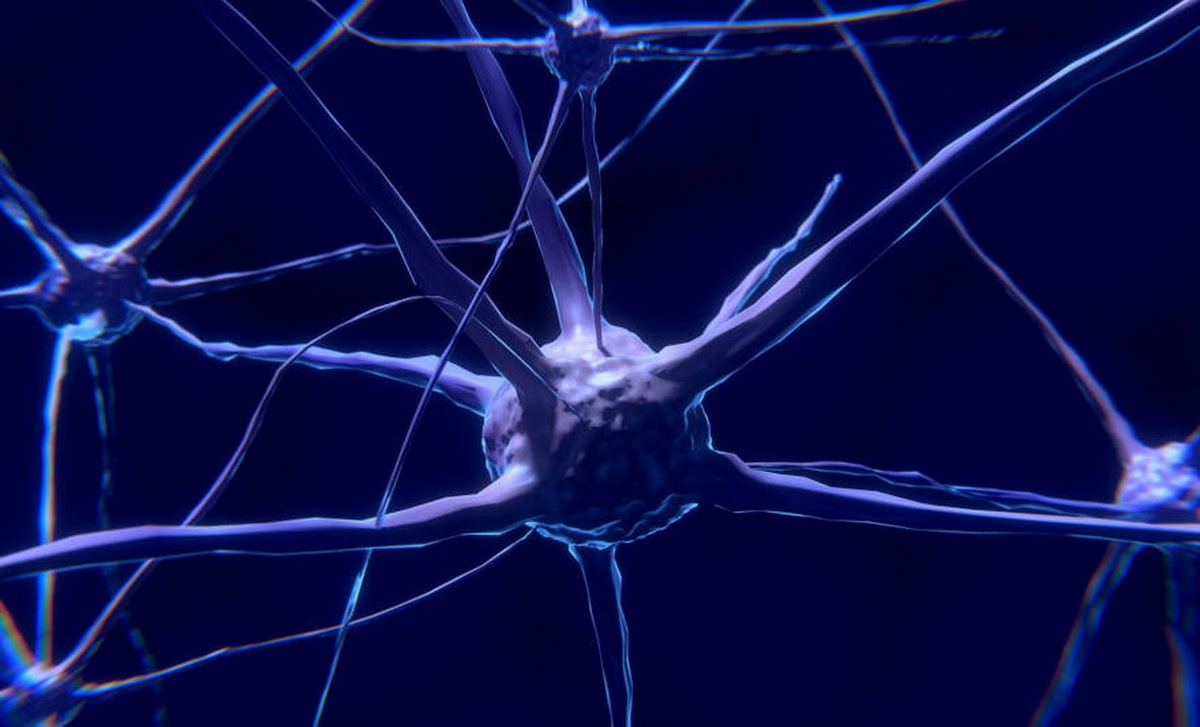 Neuropatia periferica da chemioterapia le migliori cure naturali